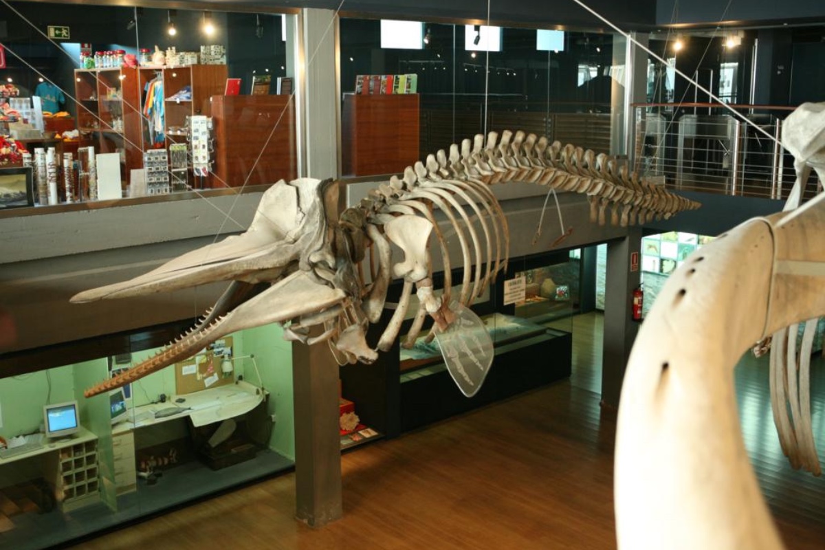 museo marítimo del cantábrico museo marítimo del cantábrico